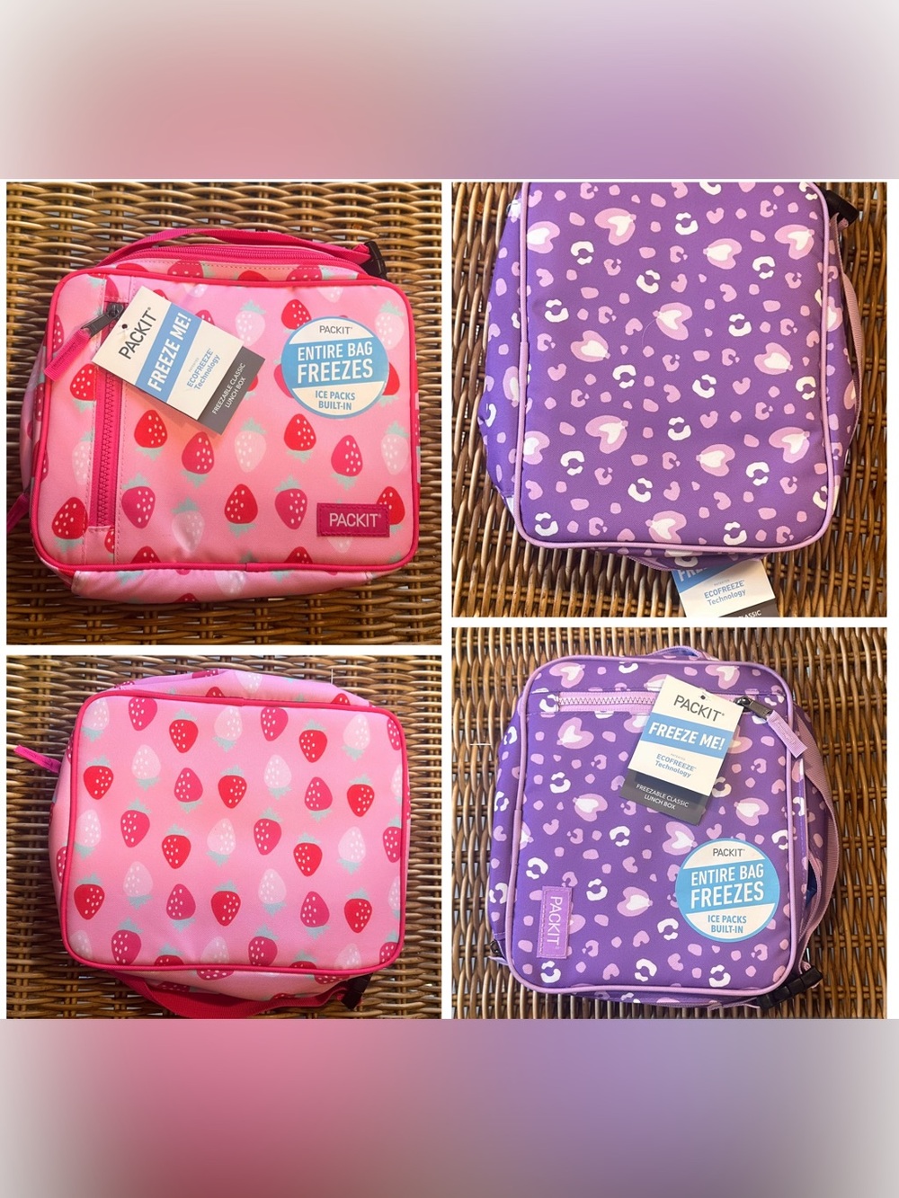 PackIt Freezable, Reusable Lunch Box built in ice packs